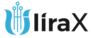 Интеграция LiraX с CRM SalesDrive